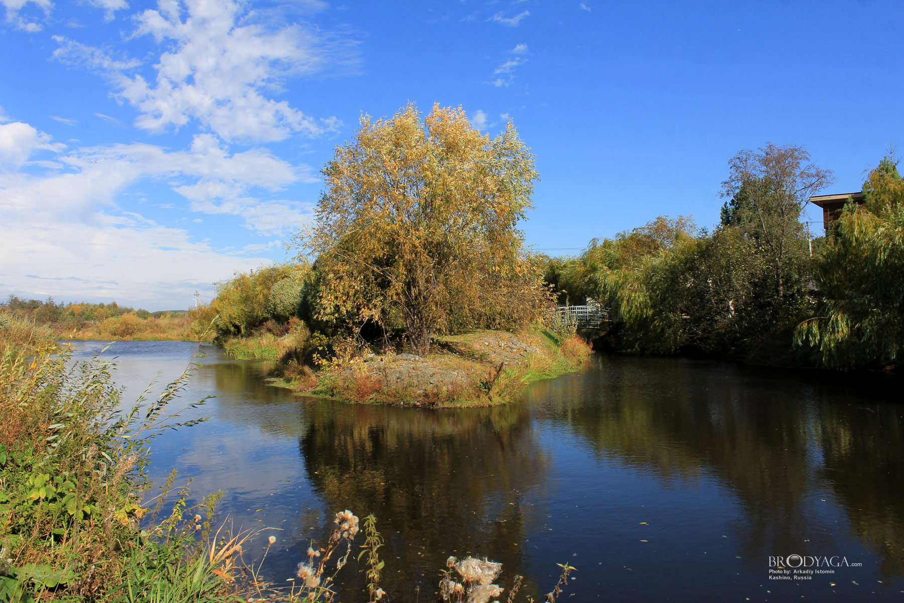 Kashino (Кашино)